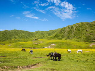 青海湖旅游多少錢_怎么去青海湖旅游_青海湖旅游價格多少跟團(tuán)