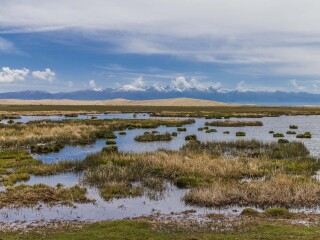 青海湖游跟團(tuán)多少錢2021_青海湖旅游要多少錢跟團(tuán)_去青海湖旅游