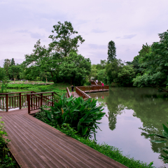 Xixi Hangzhou National Wetland Park.. The park is densely crisscrossed with six main watercourses, among which are scattered various ponds, various ponds, lakes and swamps
