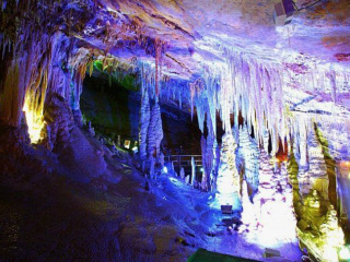 报团游重庆_重庆九日游_重庆5天跟团旅游