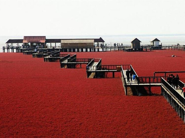 兴城红海滩