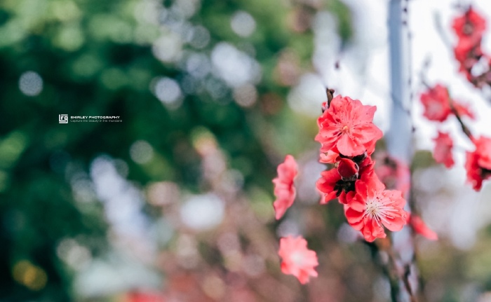 【首发】不去长隆,亲子游广州怎么玩?春节大广