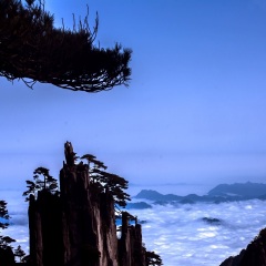 景点模块 