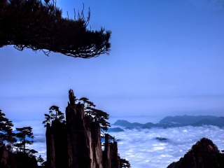 華山游價(jià)格_華山旅游需要多少錢_華山自由游價(jià)格多少