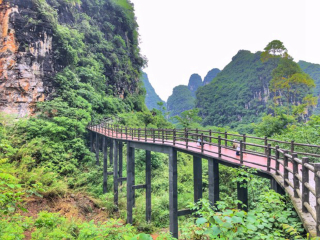 去桂林报团多少钱_深圳到桂林十日游_组团去桂林
