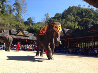 云南麗江旅游要多少錢跟團(tuán)_云南麗江游花多少錢_云南麗江旅游一次多少錢