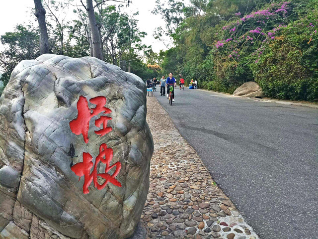 如此"怪坡"效应,使探险家和科学工作者产生了浓厚的兴趣,先后提出了"