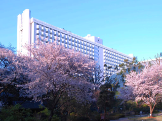 日本6天跟团游_日本高端旅游_日本随团游