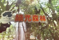 餐饮模块 