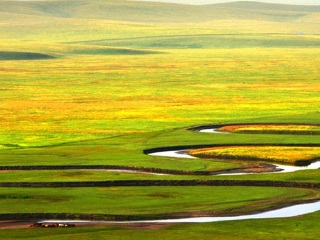 呼倫貝爾旅游跟團(tuán)多少錢(qián)_呼倫貝爾游 旅行團(tuán)_呼倫貝爾私人定制旅游