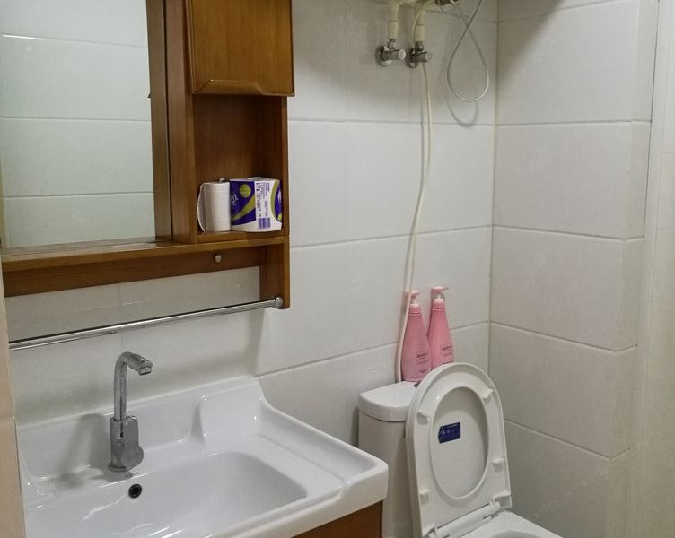 玉龙小驻家庭公寓(石家庄育新路店)
