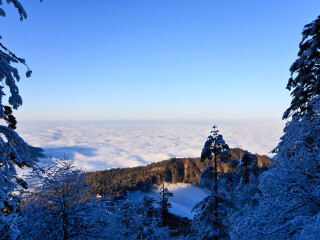 峨眉山游团_过年去峨眉山旅游_去峨眉山旅游报团多少钱