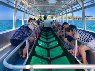 新西蘭跟團游與自由行_新西蘭旅游組團_新西蘭自由行組團