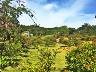 去廈門旅游怎么走_(dá)廈門旅游團(tuán)報(bào)價(jià)_旅行團(tuán)廈門游