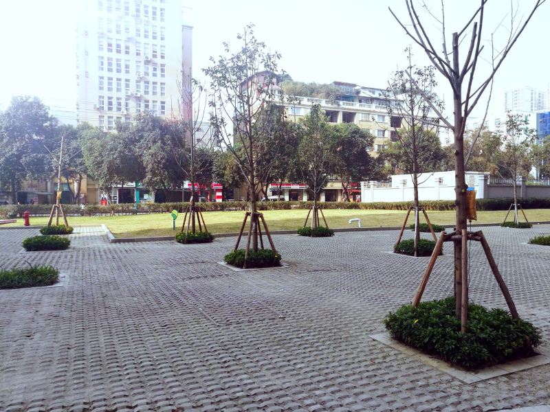 成都蓉城雅居普通公寓