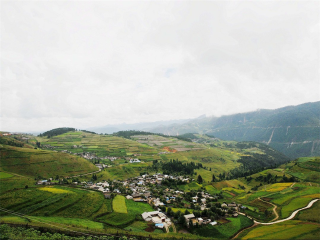 去云南麗江游怎么省錢_8月云南麗江旅游_云南麗江旅游價格多少