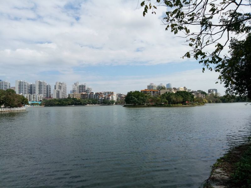 惠州张定全复式
