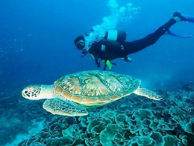 <印尼美娜多5或6日游