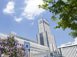 旅游公司日本北海道_深圳日本北海道旅游包团_从深圳去日本北海道旅游报价