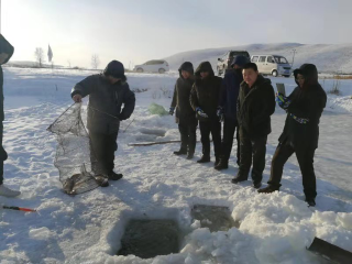 呼伦贝尔旅游6日_出发到呼伦贝尔旅游_呼伦贝尔最适合旅游的季节