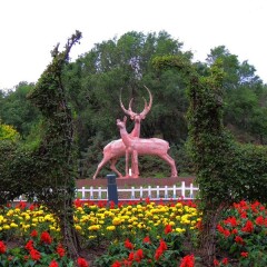 小交通模块 