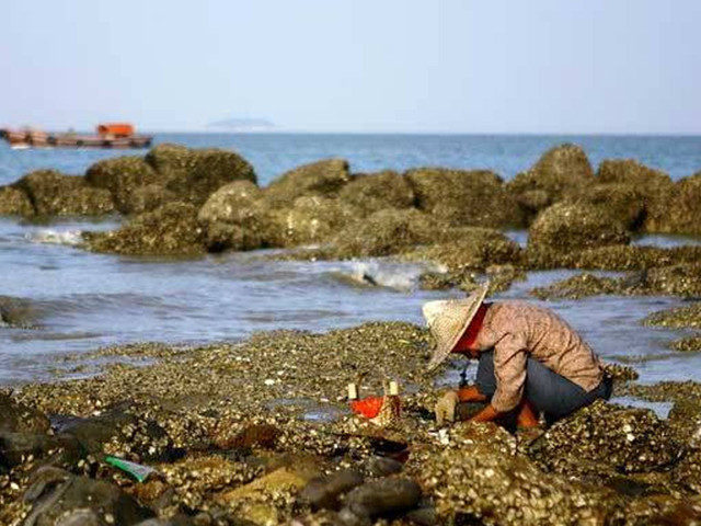 小嶝岛人口_中旅大小嶝岛自由行1人次团购(2)