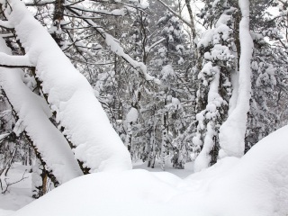 東北長白山旅行團(tuán)旅游報(bào)價(jià)_特價(jià)東北長白山游_去東北長白山靠譜的旅行團(tuán)