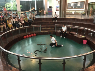 泰國(guó)普吉島游組團(tuán)_泰國(guó)普吉島跟團(tuán)還是自由行_去泰國(guó)普吉島旅游