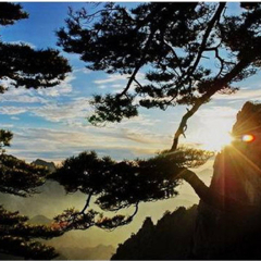 景点模块 