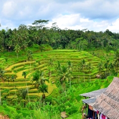 景点模块 
