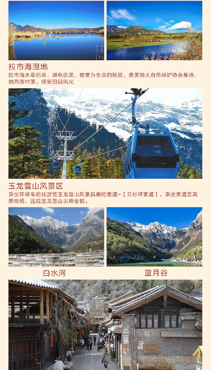 云南美食征文450字图片