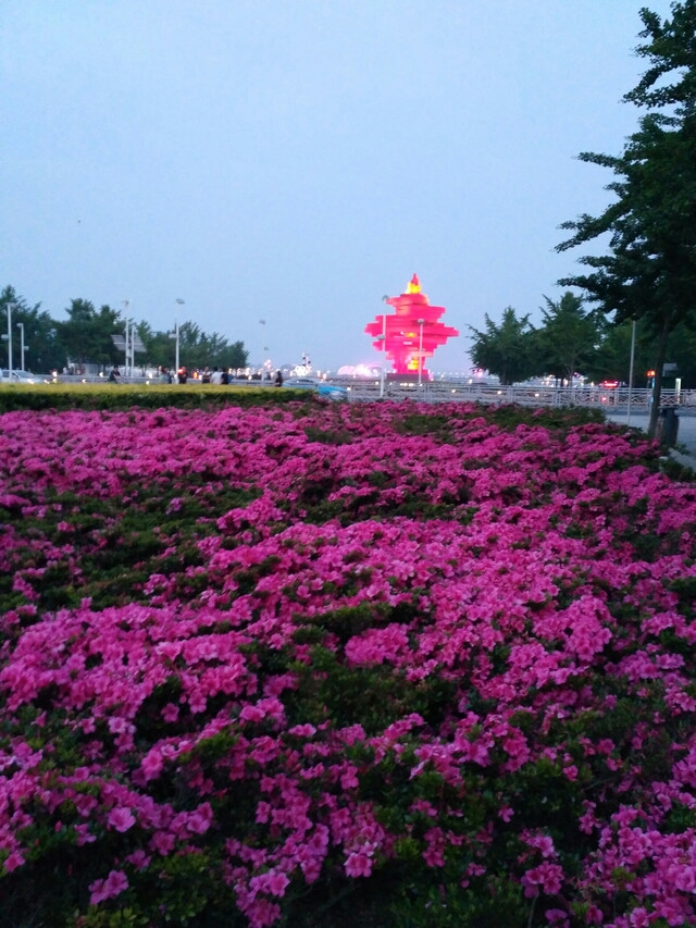 觉得哪个海滨城市性价比最高,最值得去旅行?为