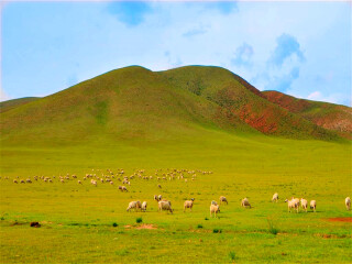 新疆旅游花費(fèi)一般多少_新疆旅游報(bào)團(tuán)價(jià)格_去新疆旅游要多少錢