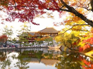 日本大阪私人定制旅游_日本大阪旅游團(tuán)報(bào)價(jià)_日本大阪旅游一次多少錢