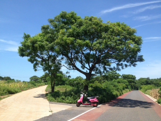 深圳出发出发涠洲岛旅游_国旅涠洲岛旅游报价_涠洲岛旅游十日游