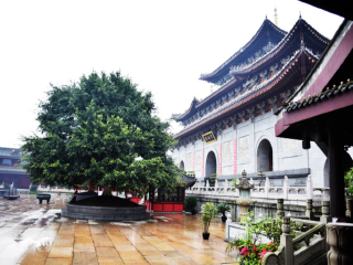 四川好的旅游_旅游团四川_参团去四川旅游