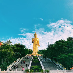 景点模块 