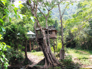 西雙版納旅游團_到西雙版納旅游報團價格_到西雙版納旅游多少錢