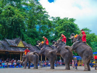 西雙版納旅游團_到西雙版納旅游報團價格_到西雙版納旅游多少錢