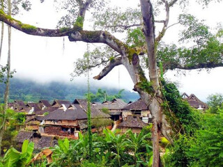西雙版納旅游團_到西雙版納旅游報團價格_到西雙版納旅游多少錢