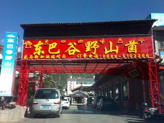 西双版纳旅游团观光_出发西双版纳旅游_西双版纳几日游最好