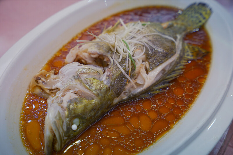 休说鲈鱼堪脍 www.tuniu.com