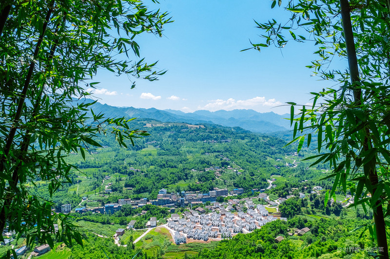 四川沐川竹海           