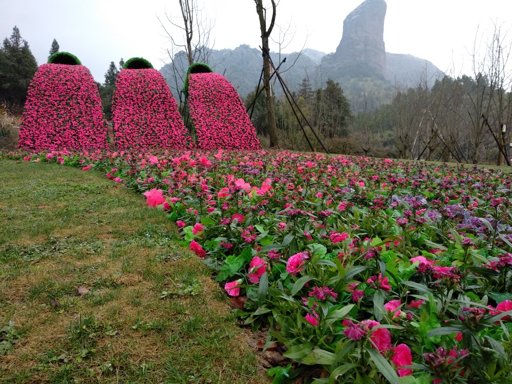 赛石城·花乐园有人去过吗?听说花开得不错_赣州旅游