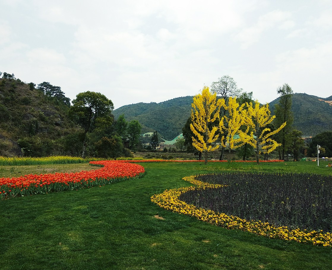 赛石城·花乐园有人去过吗?听说花开得不错_赣州旅游