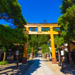 景点模块 