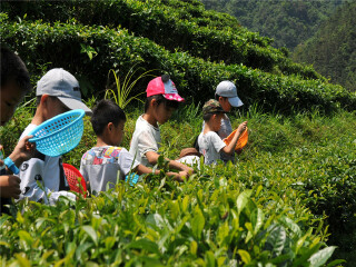 韶關(guān)最適合旅游的季節(jié)_韶關(guān)旅游報(bào)團(tuán)價(jià)格_韶關(guān)旅游大概多少錢
