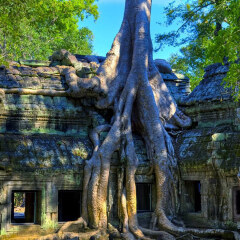 大榕文化村1 景点模块