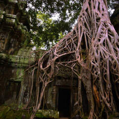 大榕文化村2 景点模块