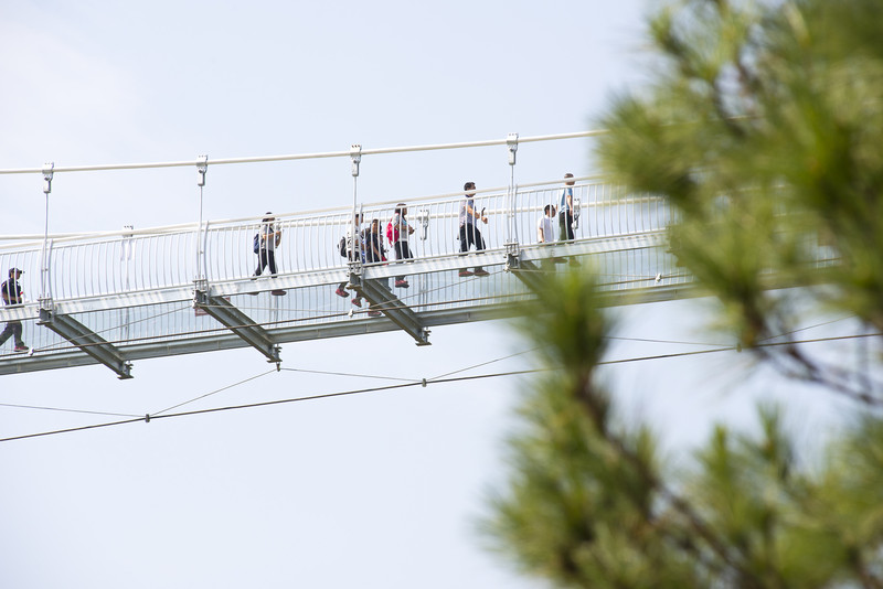 佛山高明盈香生态园,网红地打卡玻璃桥